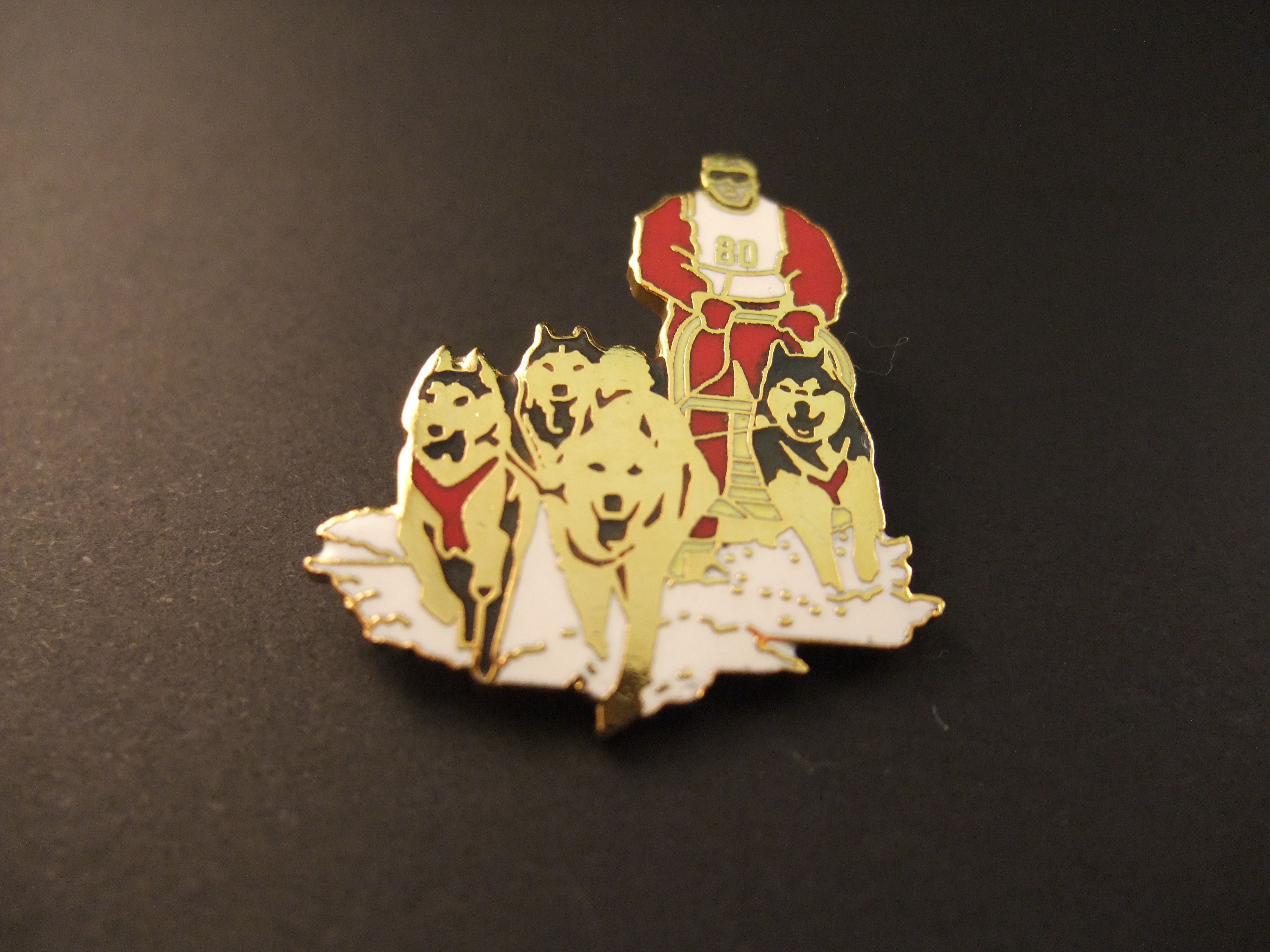Husky honden ( Sledehondensport)